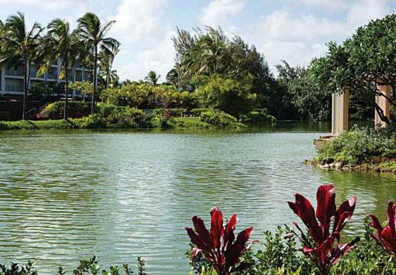Marriott'S Kauai Lagoons - Kalanipu'U Lihue Luaran gambar